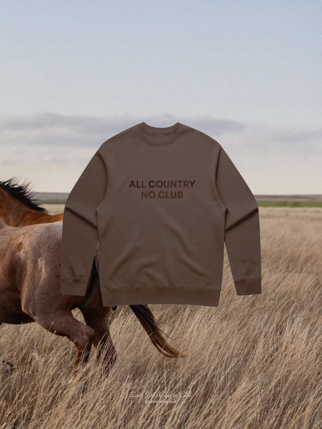 ACNC Crewneck Sweatshirt – SYCC