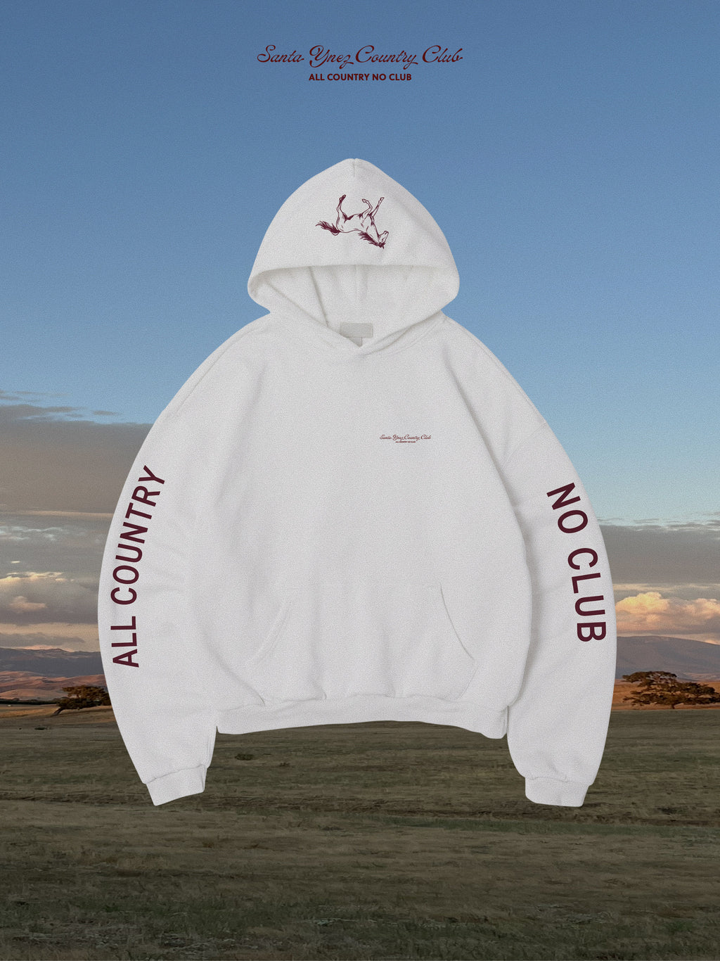 ACNC Hoodie