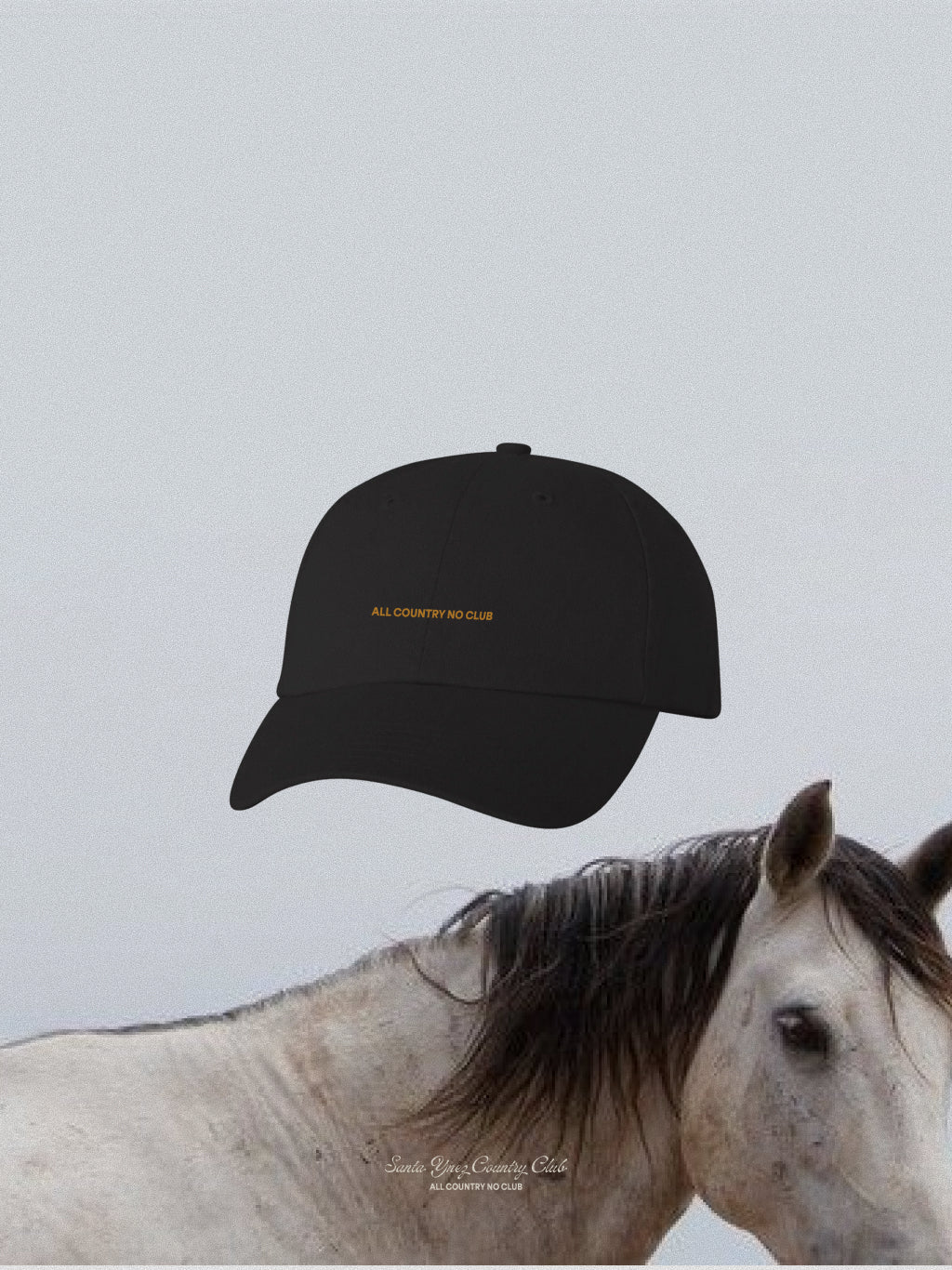 Micro Logo Dad Hat Black