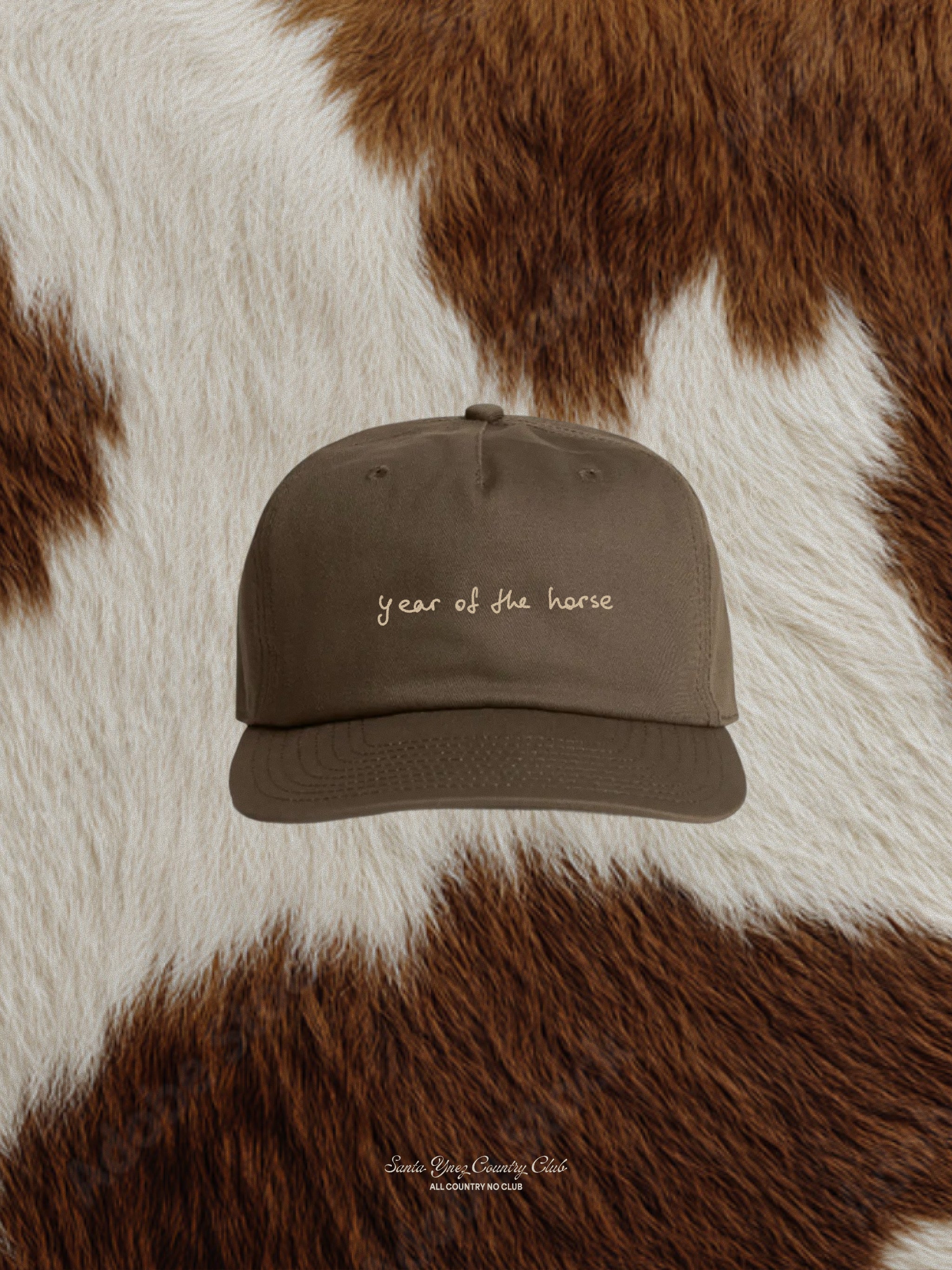 "Year of the horse" Dad Hat